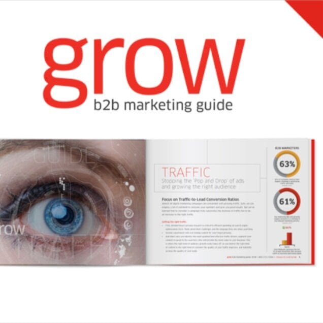 Grow | Annual B2B Marketing Guide